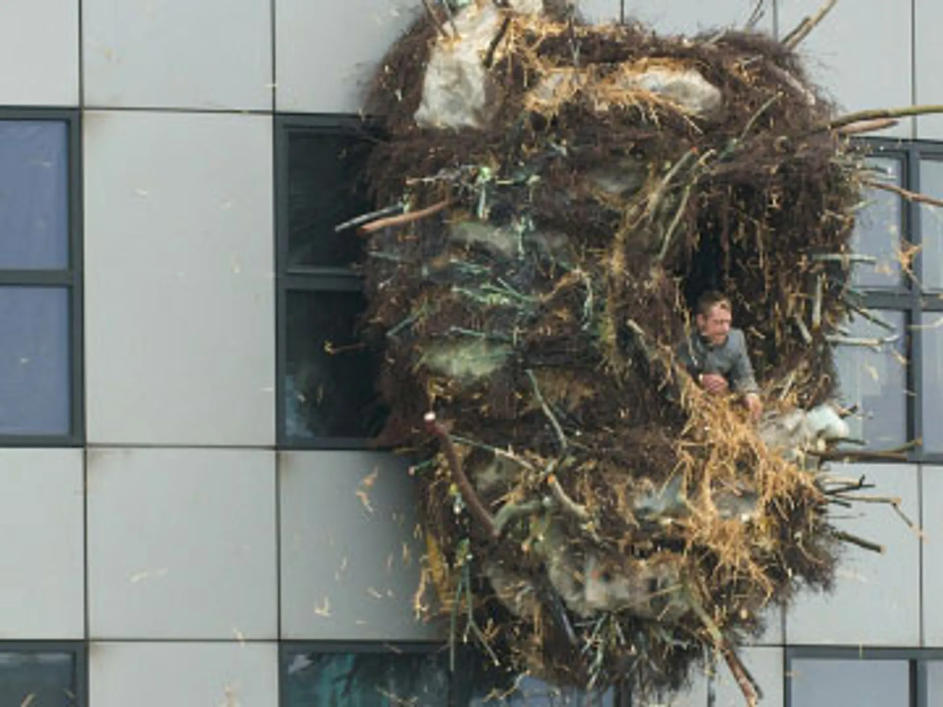 Hebban olla vogala nestas hagunnan hinase hic enda thu - Vroege Vogels