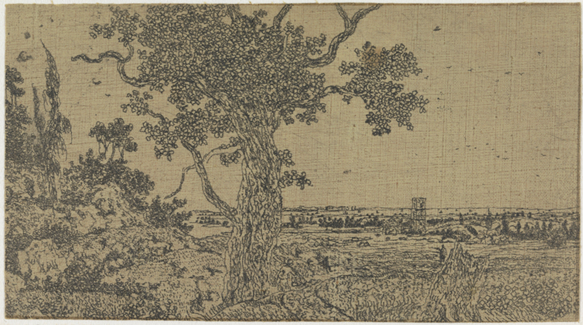 landschap_eik_HerculesSeghers-