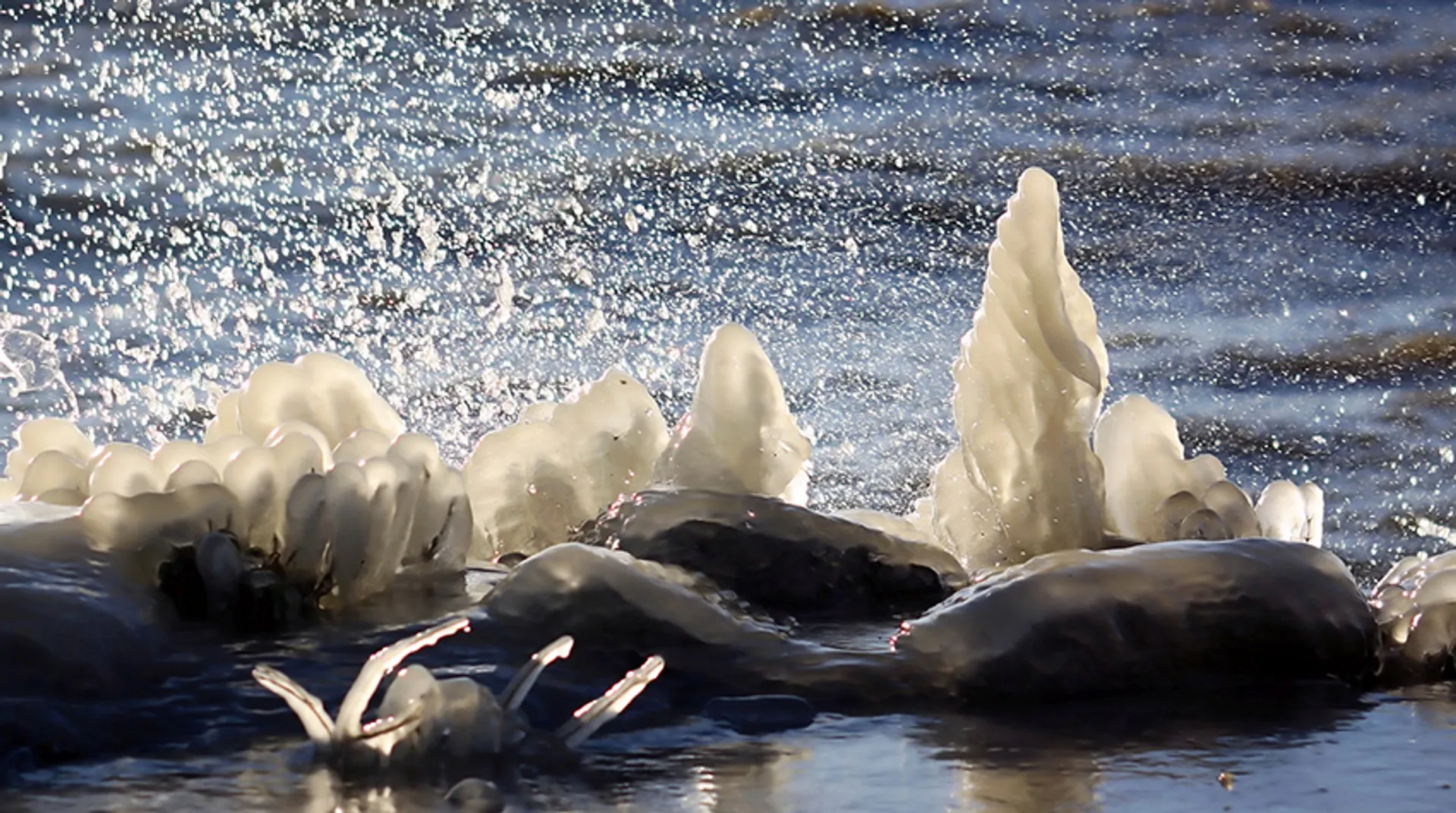 Afbeelding van Fotoserie: natuurlijke ijssculpturen