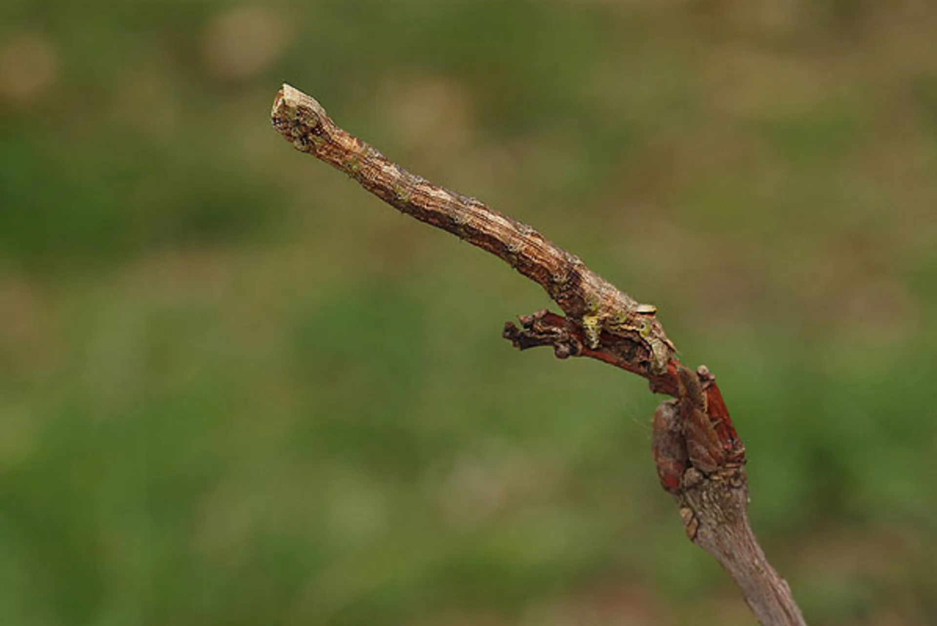 spanner-paulkreijger