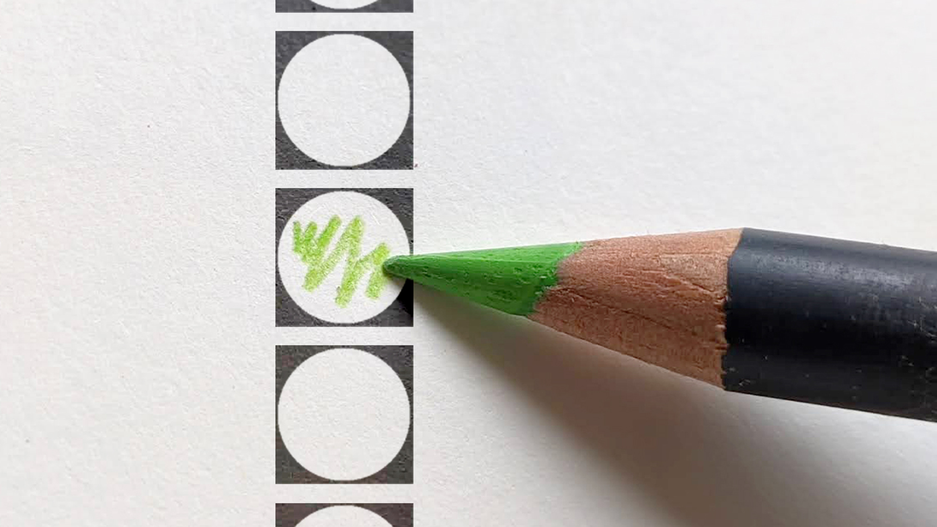 Afbeelding van Verkiezingsuitslag doet hoop oplaaien bij natuur- en milieuorganisaties