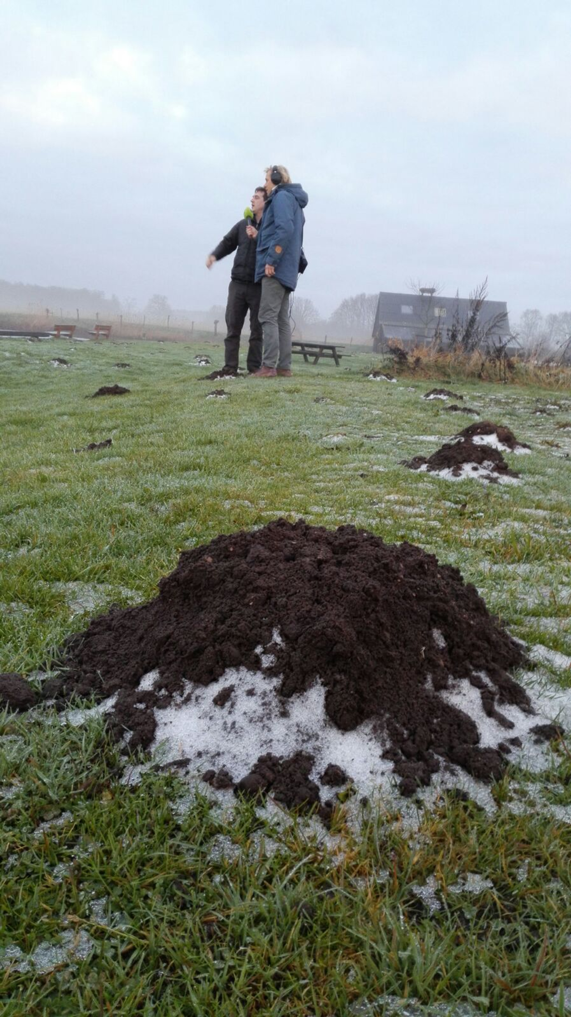 Molshoop Naardermeer