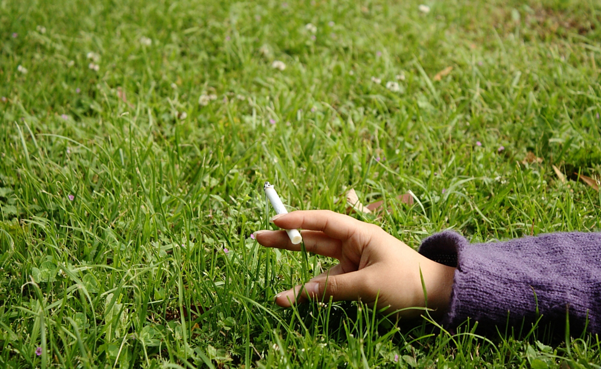 Planten roken passief mee - Vroege Vogels - BNNVARA
