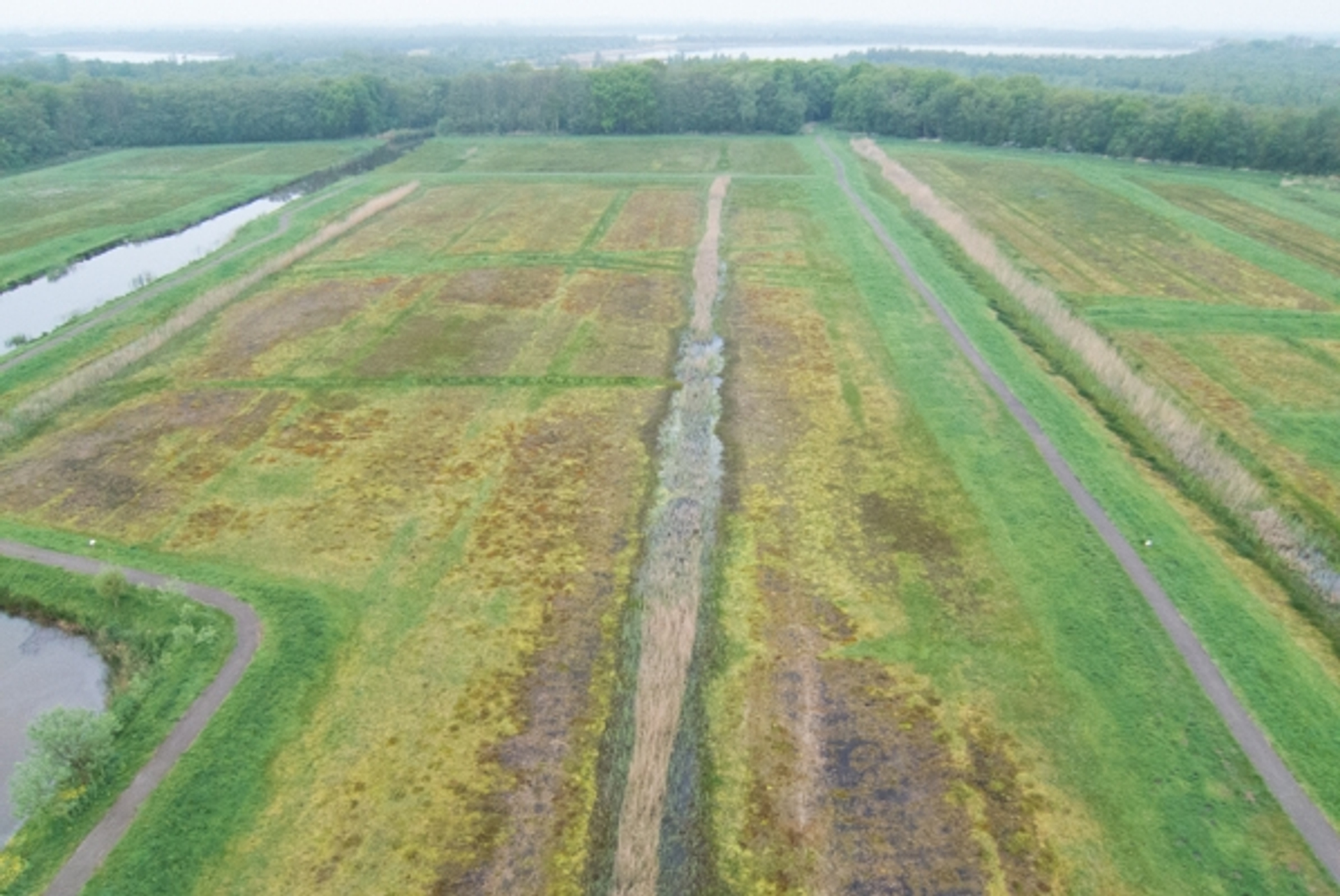 JD_20140427-IMG_1471