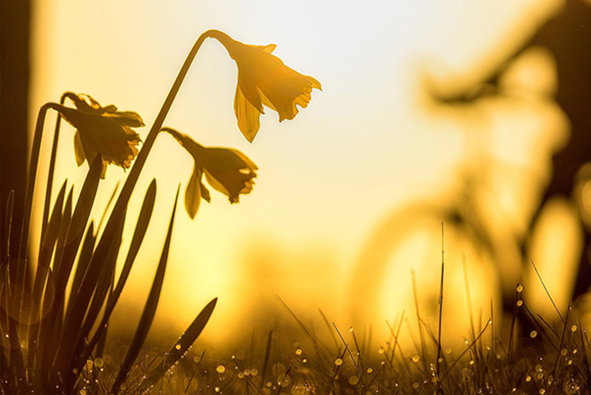 Zonsopkomst6_NickyWPhotography