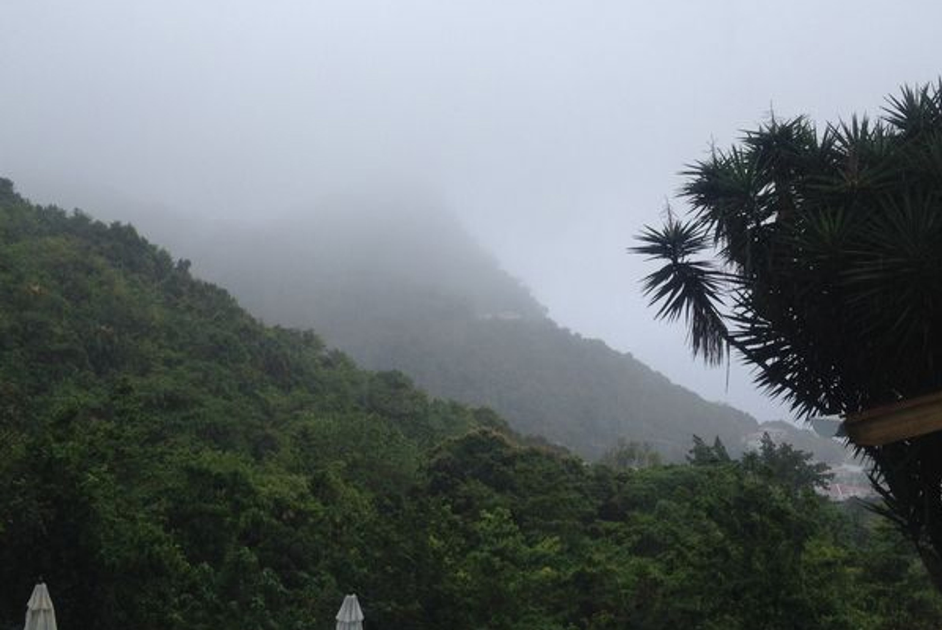 saba