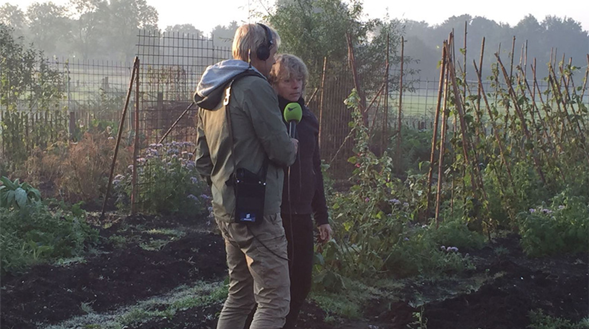 Menno in moestuin