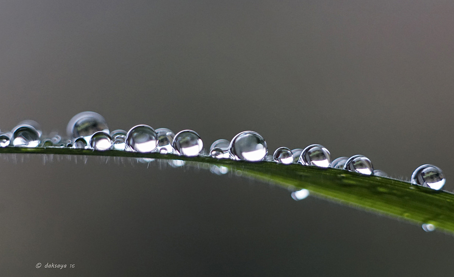 Utrecht doet onderzoek naar PFAS in regenwater