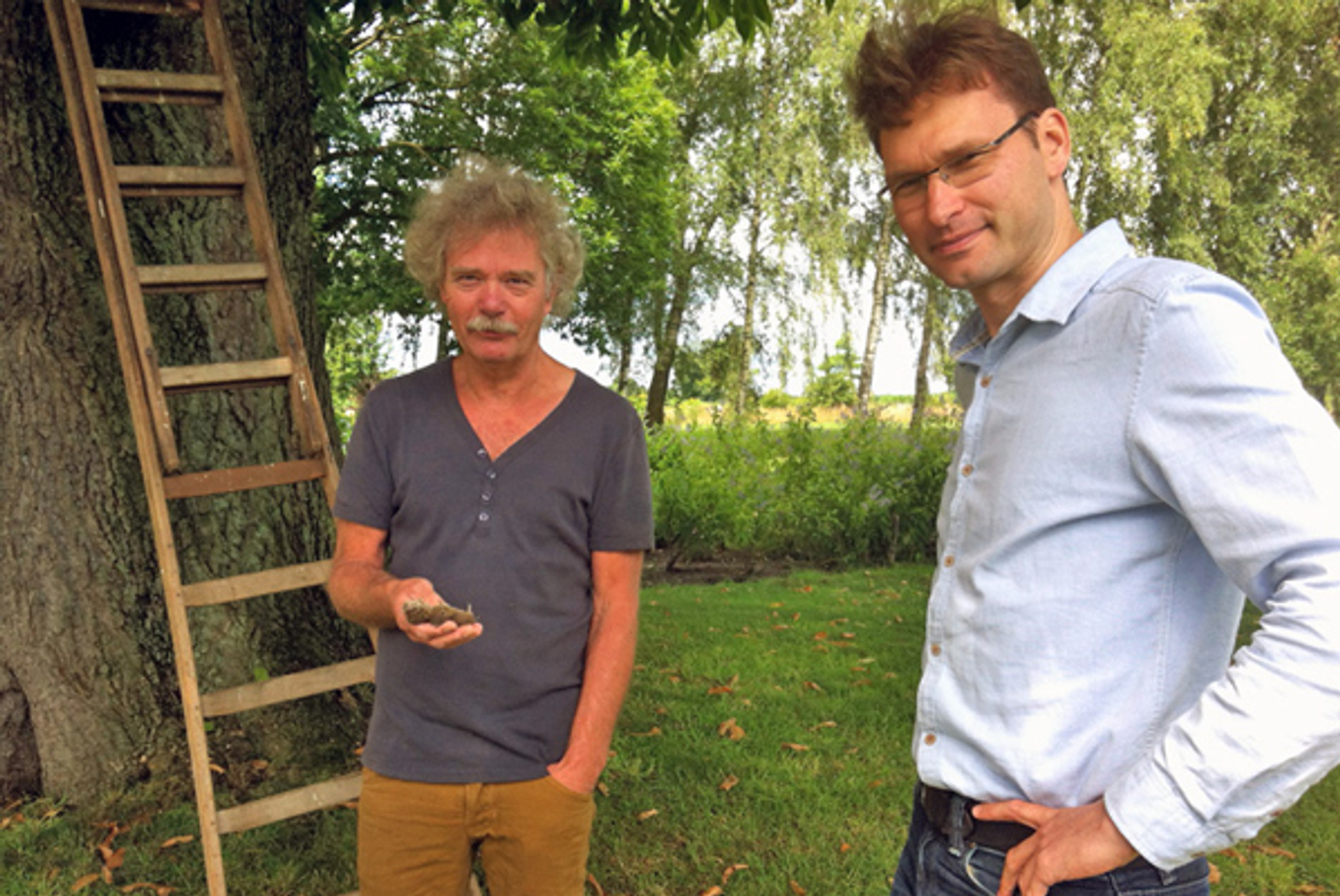 Muizen-2-groot