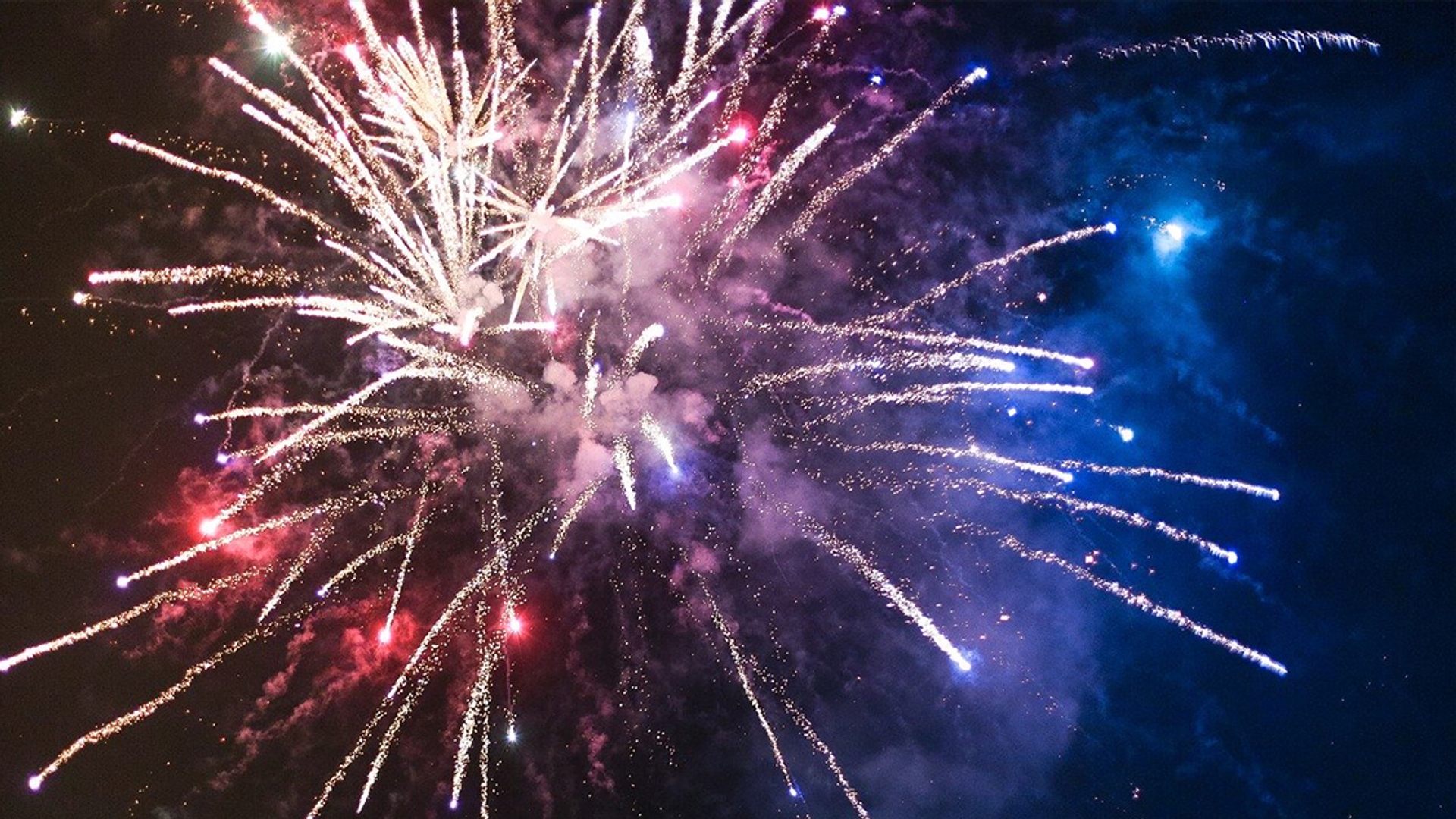 Afbeelding van Vuurwerk nog schadelijker voor dieren dan gedacht