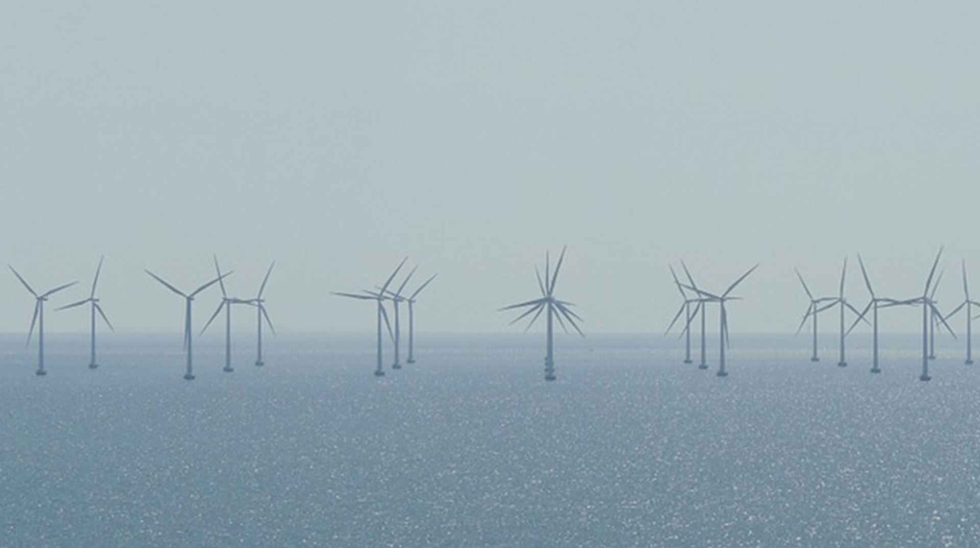 Afbeelding van Coalitie onder druk, Groningse staten stemmen in voor windparkplan