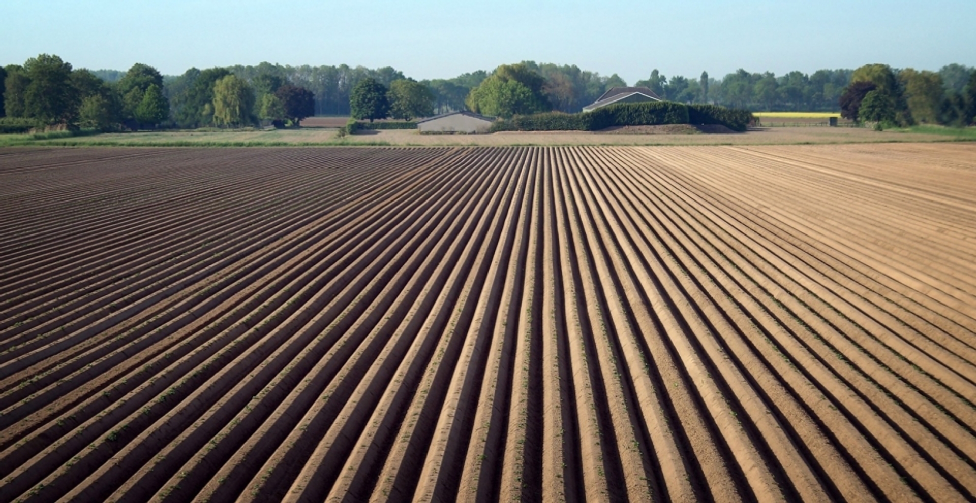 Kabinet Wil Versneld Miljoenen Vrijmaken Voor Uitkopen Boeren - Vroege ...