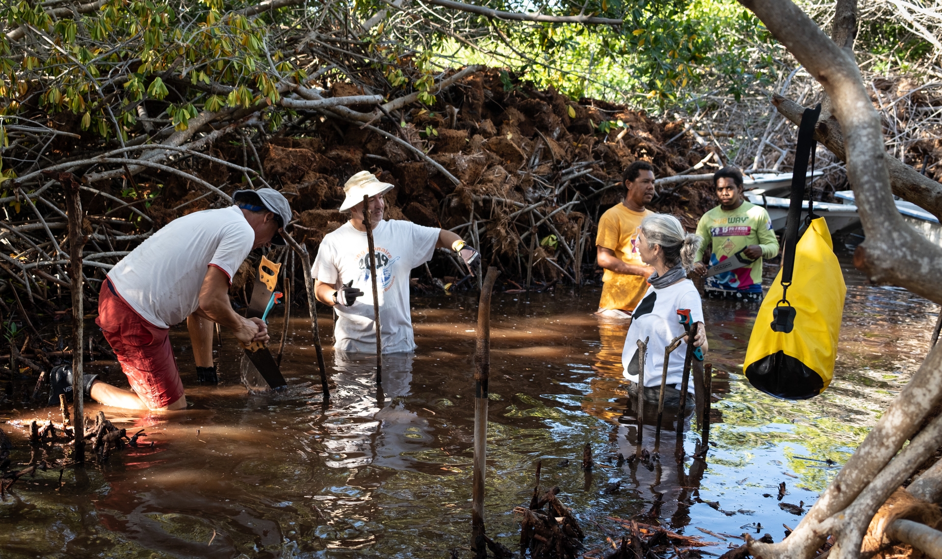 De Mangrove Maniacs aan het werk in Bonaire