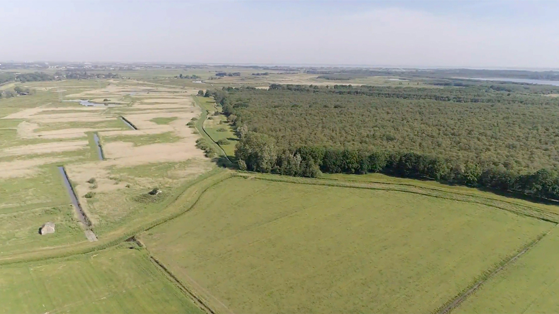 Schil van het Naardermeer