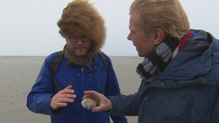 Afbeelding van Fragment TV