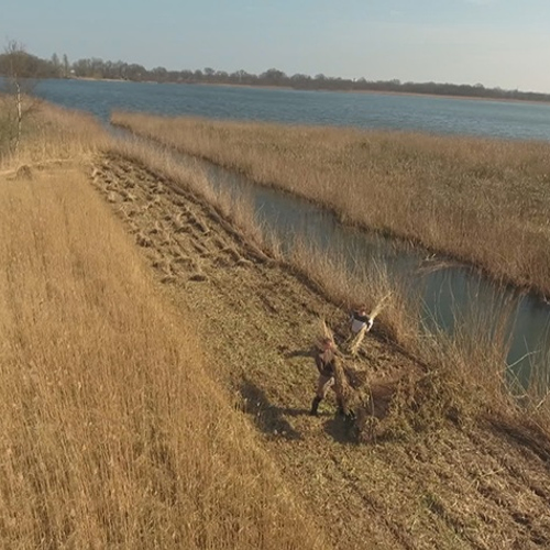 Kijken onder het Naardermeer