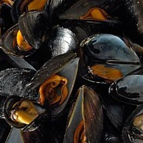 Mosselen in deel Oosterschelde nog giftig