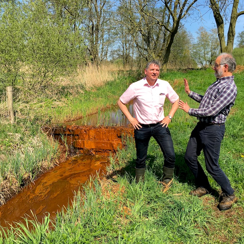 Natuurherstel op de Peelrandbreuk