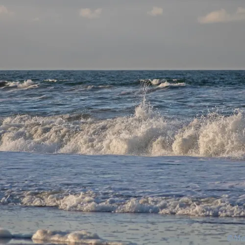 Afbeelding van Noordzee recordwarmte in juli door hittegolf