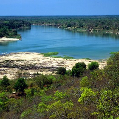 Nieuwe dier- en plantsoorten ontdekt in Azië