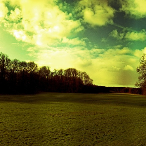 Bos zorgt voor meer wolken