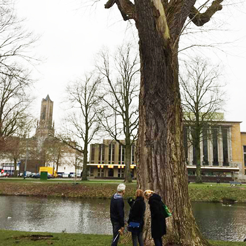 Arnhem wil kapbeleid herzien