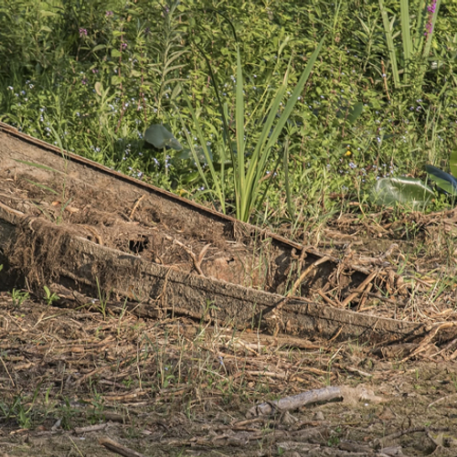 Fotowedstrijd: Droogte in beeld