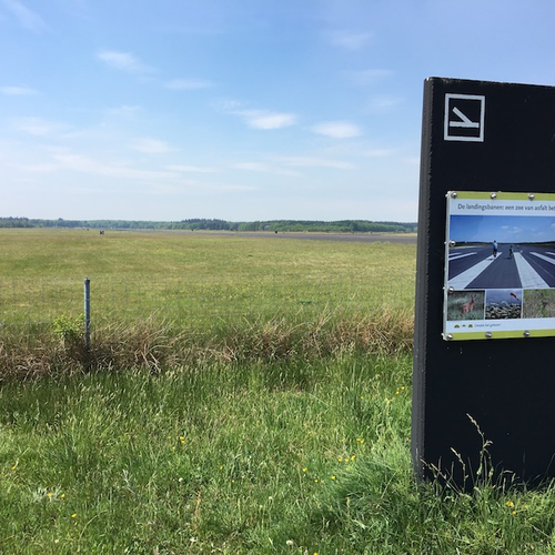 Soesterberg: villa's of veldleeuweriken?