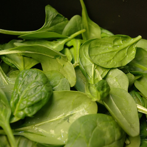 Spinazie tegen terrorisme