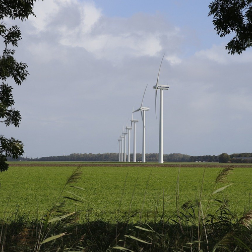 Afbeelding van Aanleg windmolens op land stokt, klimaatdoelen raken uit zicht