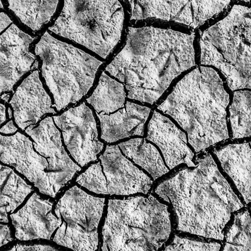 Afbeelding van Meerdere waterschappen zijn door droogtemaatregelen heen