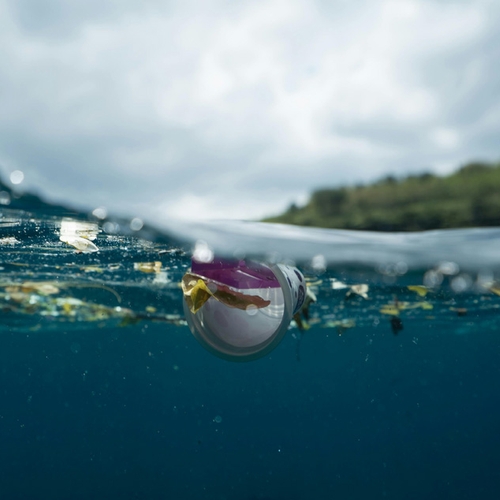 Afbeelding van Plasticvangst van 10 miljoen kilo uit oceanen en rivieren