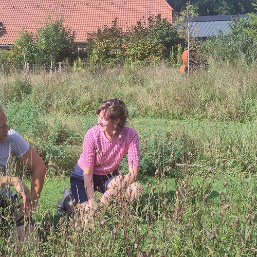 Streektuinen: inheemse natuur in eigen tuin