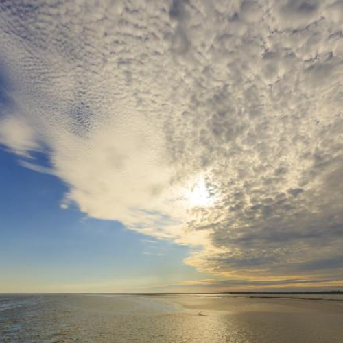 Honderden vrijwilligers maken kust schoon