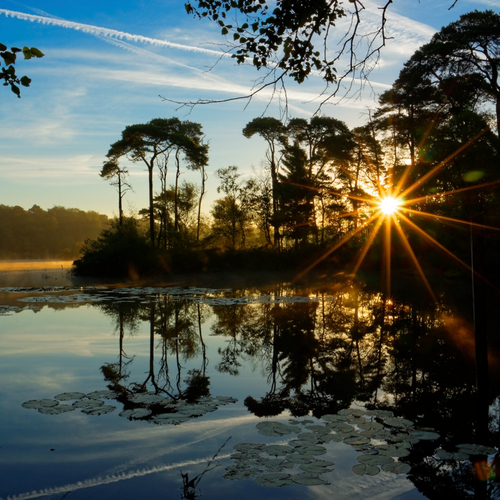 Winnaar fotowedstrijd 'Landschap'