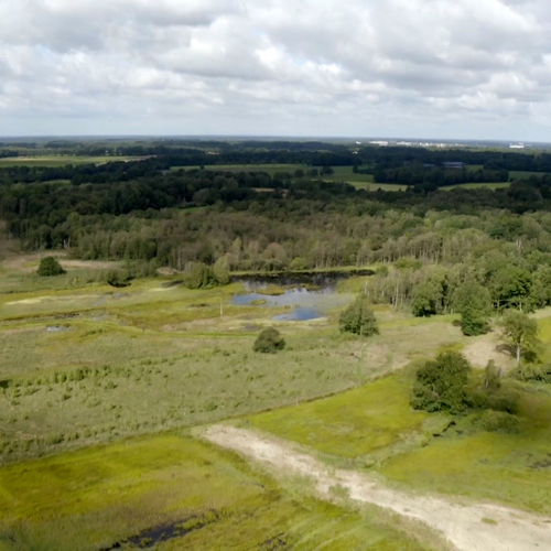 Overijssel start met eigen, lokale aanpak rond kwetsbare natuur
