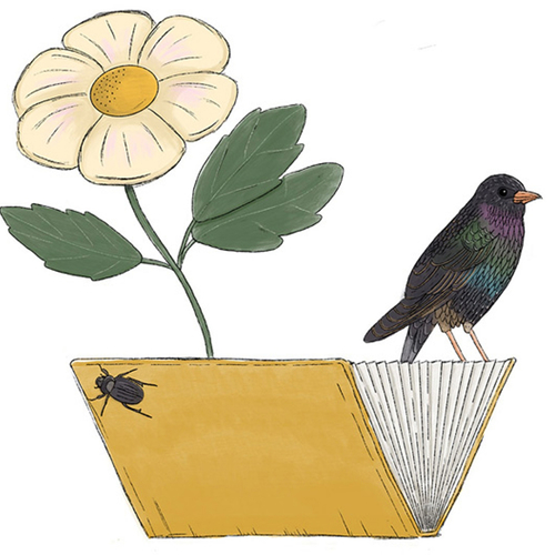 Deze boeken maken kans op de Natuurboekenprijs 2025