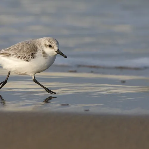 Afbeelding van Recordaantal activiteiten tijdens Week van de Biodiversiteit
