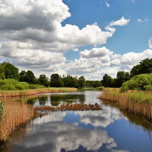 Onderzoek: Veengebieden lichtelijk vernatten helpt natuur niet