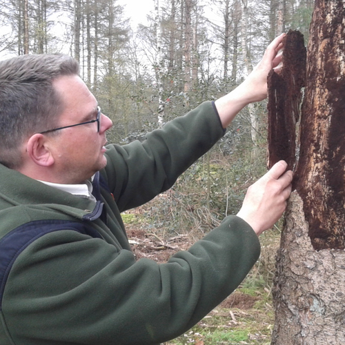 De letterzetter slaat weer toe
