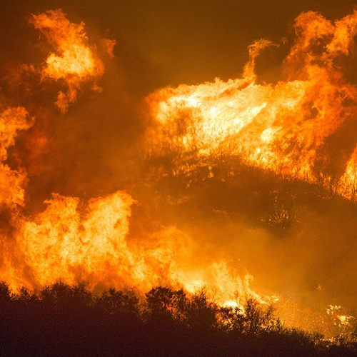 Afbeelding van Stijgende klimaatschade oorlog Oekraïne door gevechten en bosbranden