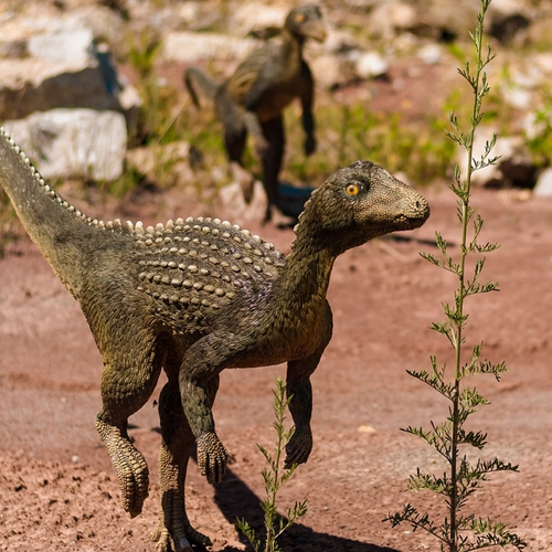 Meer vleesetende dinosaurussen ontdekt in Marokko