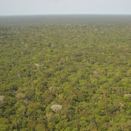 President Brazilië lijkt een ramp voor de natuur