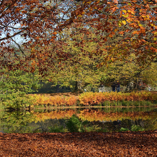 Wanneer begint de herfst?