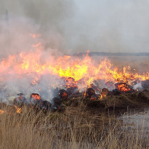 Heidebrand bij Meppen na 5 weken geblust