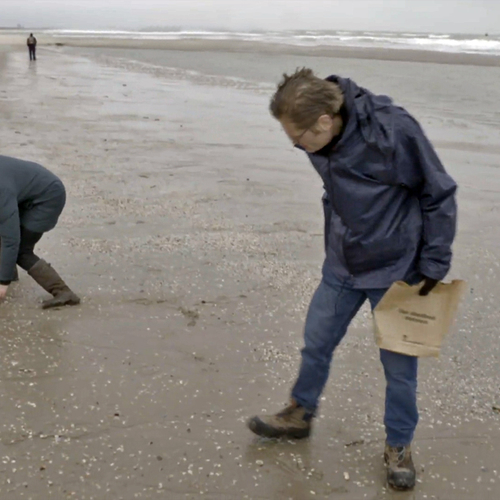 De Noordzee: een schatkamer vol fossielen