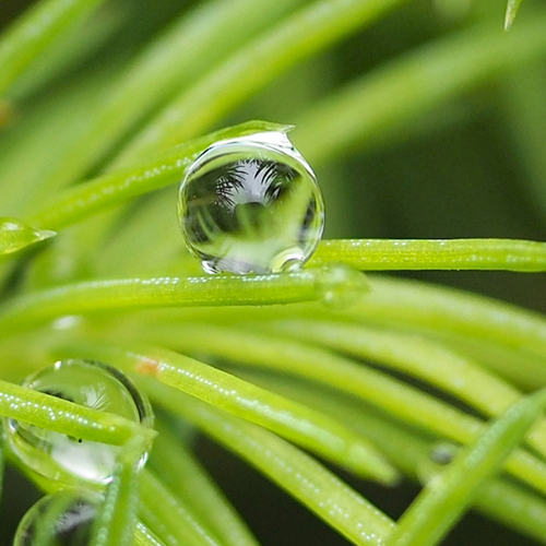 Regendruppels gevangen op beeld | Fotoserie