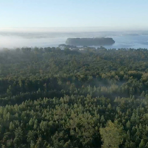 Sterkte toename van stikstof in bodem Nederlandse bossen