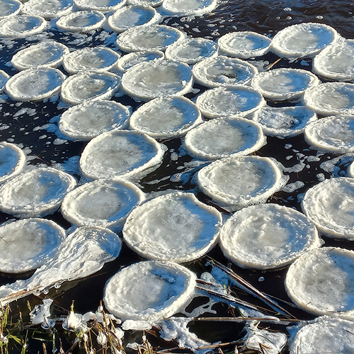 Pannenkoekenijs op een snelstromend riviertje
