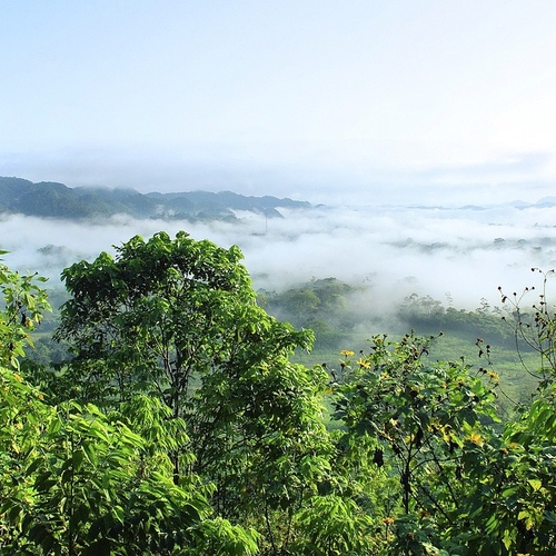 Steeds meer branden in Braziliaans Amazonegebied